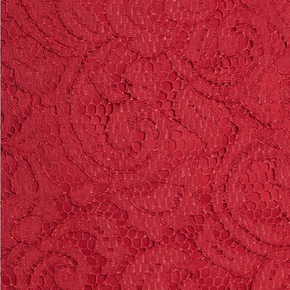 Adrianna Papell Lace Sheath Dress, Cherry Red, Size 4, Wedding Guest/Romantic - Picture 4 of 5